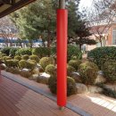 대구남산초등학교 이미지