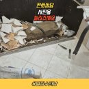 매화마을길(벌말로50번길) 이미지