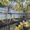 세인농장 이미지