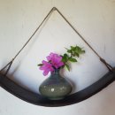 달빛미소 이미지