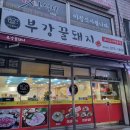 부강꿀돼지