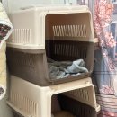 애견11번가 캣넬 | 다묘가정 캐리어 추천 숨숨집으로 활용하기 좋은 대형 캔넬