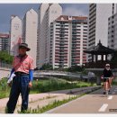 도교2교 이미지