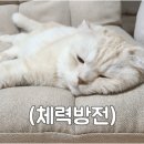 고마운 선물가게 이미지