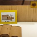 밤마을 이미지