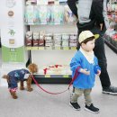 펫마트양천점