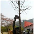 명성중기 이미지