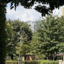 뉴발란스안양점 이미지