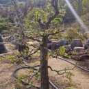 태림농원 이미지