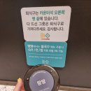 18-C | 뮤지컬 알라딘 후기/1층 C구역 18열 (저녁 잠실역 땀땀)