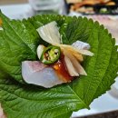 대어회집 | [부산/만덕]내돈내산 만덕맛집 배달포장후기 대어도매횟집 만덕본점