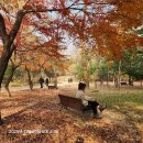 북한산 11TEMPLE TOUT 이미지
