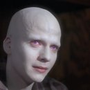파우더POWDER