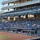 삼성1-115 | 창원 엔씨파크 야구장 3루 115구역 시야 후기 | 약간의 2층 시야 후기 | NC VS 삼성 직관 후기