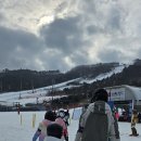 운동 마니아 아들과의 설원 정복! 알펜시아 어린이스키강습 찐 만족 후기 (feat. 리스펙스포츠클럽)