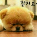 스타링포스 - 구로구 새말로 97 | 스타링포스