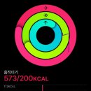 오케이굳(주) | 입맛이 없다고 하면서 먹는 모순덩어리 일상 모음집