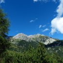 켄넬퀸비 이미지