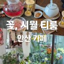 안산 카페 : [ 꽃, 시월 티룸 ] 여유롭게 차를 즐길 수 있는 감성적인 플라워카페 안산꽃집추천
