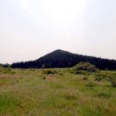제주 선흘리 거문오름 이미지