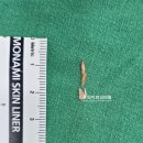 유의미외과의원 이미지