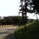 세구지공원 네이버블로그