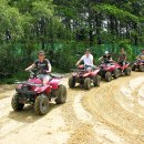 청포대휴야영장 | [충청남도 태안군] 청포대오토캠핑장