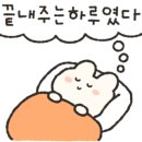 리플리네일 이미지