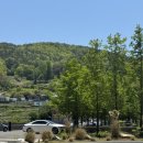 이제(IJE) 남해 이미지