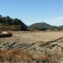 금당면-1 이미지