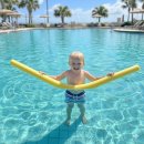 만타 | 하와이 빅아일랜드 필수 액티비티 씨퀘스트 나이트 만타레이 스노클링 업체 후기