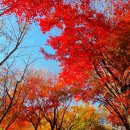 진주 망진산 봉수대 | 진주 새로운 명소 진주빛마루 진주실크박물관 망진산봉수대
