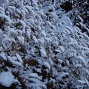 우면산3-24 이미지