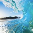 주식회사 대게킹 이미지