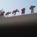 창명태권도장 이미지