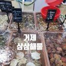 삼삼슈퍼 | 거제 장승포 수산물센터 삼삼해물 가리비 구매 후기