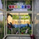 헬로우쥬 카페 이미지
