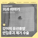 전동물병원 이미지