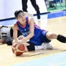 리바운드 이미지