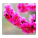 행복한 여정 이미지