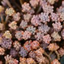 다올농원 이미지