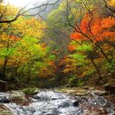 형형색색의바위들 이미지