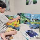 이화전집 | 6세책추천 유아자연관찰책 자연관찰전집 자연이알쏭 4개월 후기