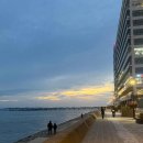 찜천하 | 시흥 맛집 추천! 😋 2인 5만원대 가성비 끝판왕 조개찜, '바다수퍼해물천하조개구이' 솔직 후기!