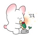 영화초등학교 이미지