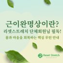 국선도단전호흡 | [리셋 단체수업 필독] 근이완명상이 꼭 필요한 이유 — 몸과 마음의 회복을 돕는 리셋스트레치의 핵심...