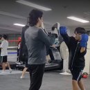 팀건복싱 이미지