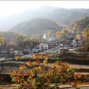 상림농장 이미지