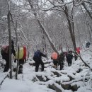 12월17일 변경예정! 16일까지 눈소식 이어지는 보령의 성주산 문봉산 심설산행 이미지