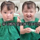 유니베라 알로엔 디오리진 스킨케어 100 보습 및 진정케어 최고